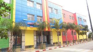 Les reins merveilleux : à la découverte de leurs fonctions